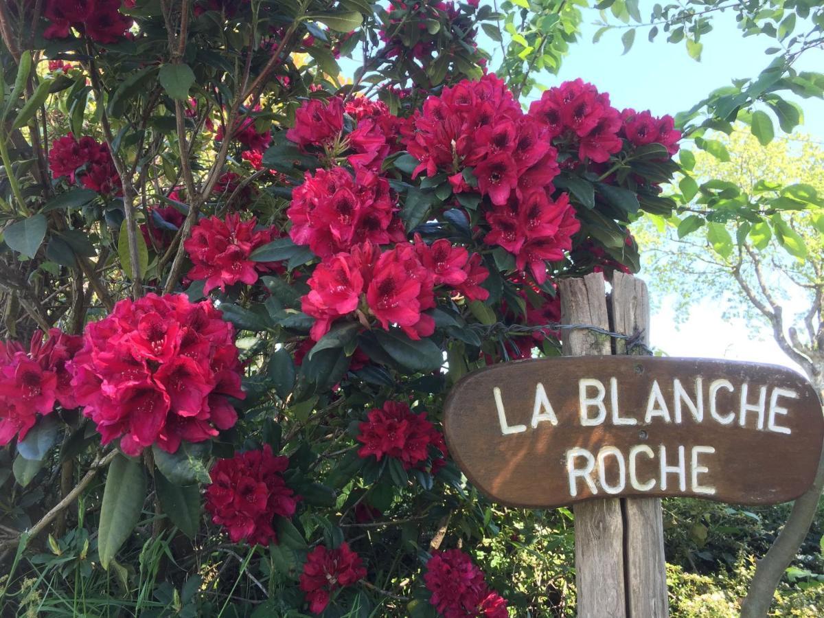 La Blanche Roche Bed & Breakfast Sourdeval Екстериор снимка
